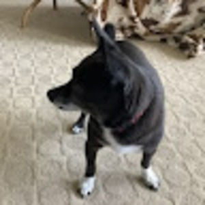 Meet your Posher, Vicki